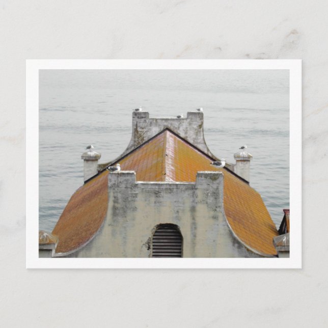 Alcatraz fåglar vykort (Framsida)