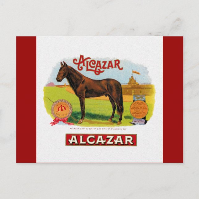 Alcazar Tävling Horse Vykort (Framsida)