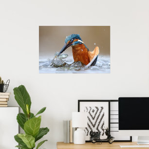 Alcedo Atthis Kingfisher-jakt vatten Luca Casale Poster