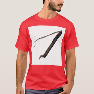 Alchemical Symbols Magnet T Shirt