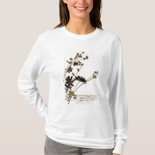 Alchemilla från en Herbarium T Shirt