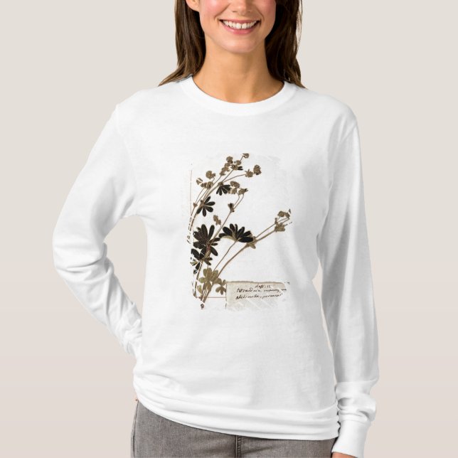 Alchemilla från en Herbarium T Shirt (Framsida)