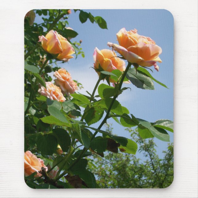 "Alchemist" Ro Mousepad Musmatta (Framsidan)