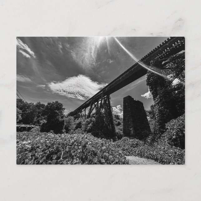 Alcovy Trestle Vykort (Framsida)