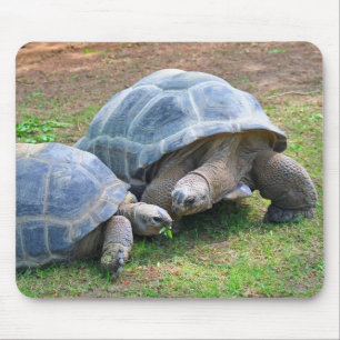 Aldabra sköldpaddor Mousepad Musmatta