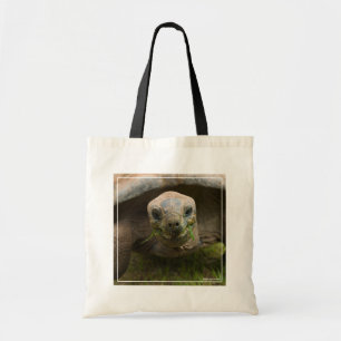 Aldabra Tortoise Matande Tygkasse