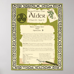 ALDER CELTIC HELIG TRÄD POSTER