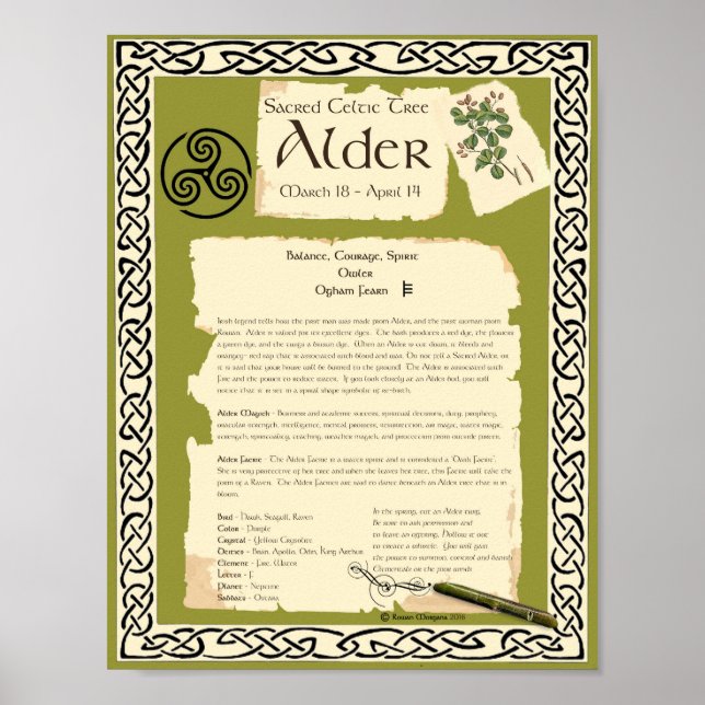 ALDER CELTIC HELIG TRÄD POSTER (Framsidan)