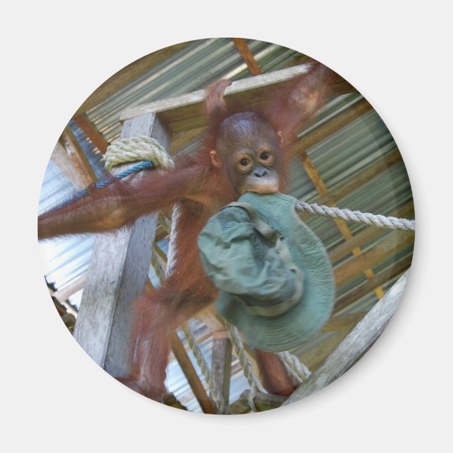 Ålder för Grönt Magnet (Framsidan)