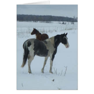 Ålder för Vår OBS Kort