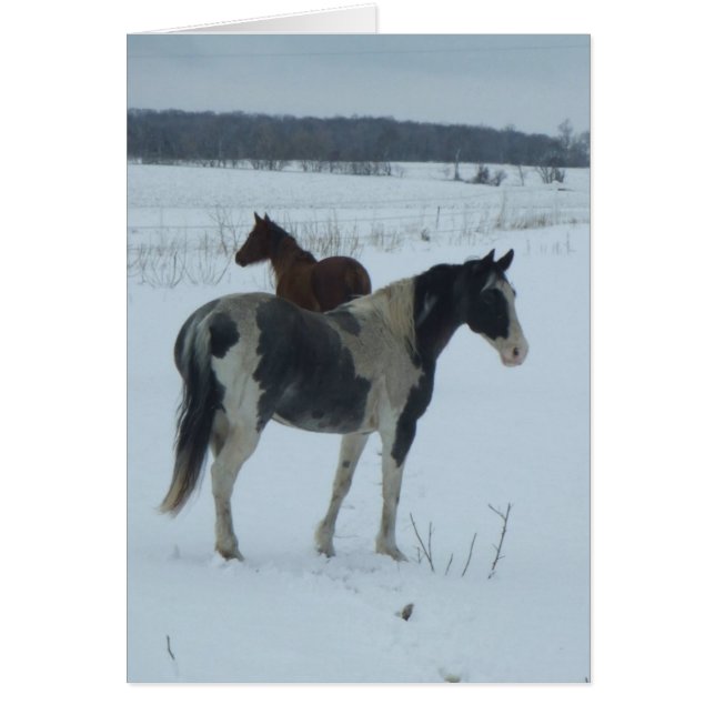 Ålder för Vår OBS Kort (Framsidan)