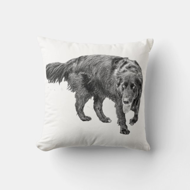 Ålder Guardian Comfort Kudde (Framsida)
