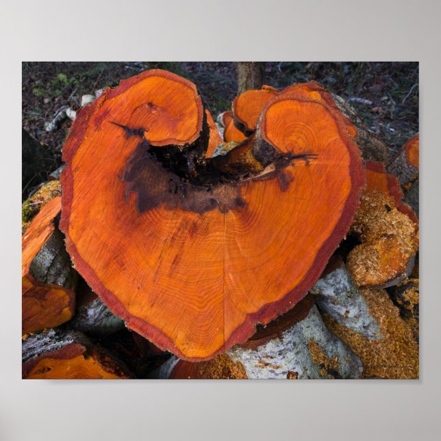 Alder Heart - Affisch (Framsidan)