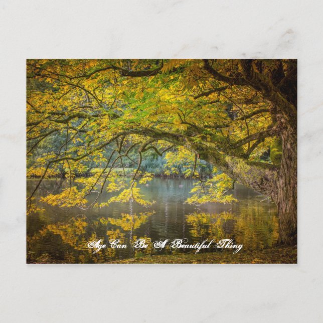 Ålder kan vara en vacker Sak Vykort (Framsida)