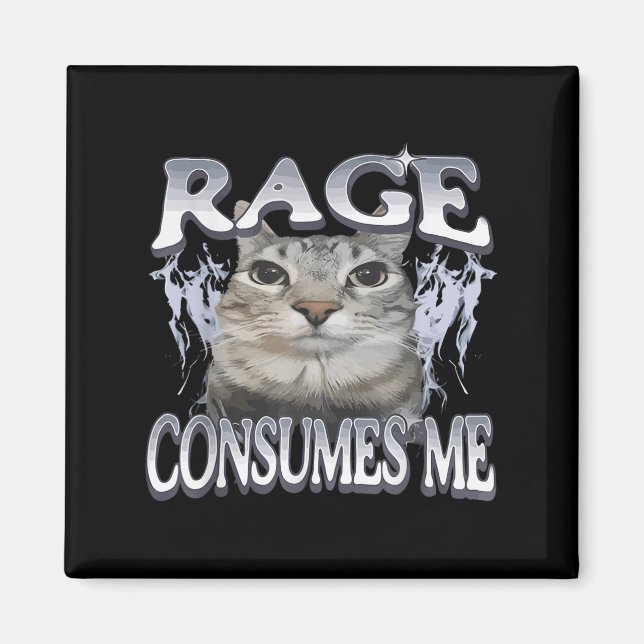 Ålder konsumerar mig med Fåniget Staring Cat Meme  Magnet (Framsidan)