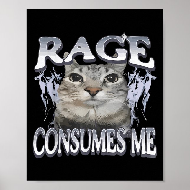 Ålder konsumerar mig med Fåniget Staring Cat Meme  Poster (Framsidan)