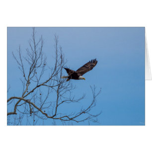 Ålder under flygning OBS kort