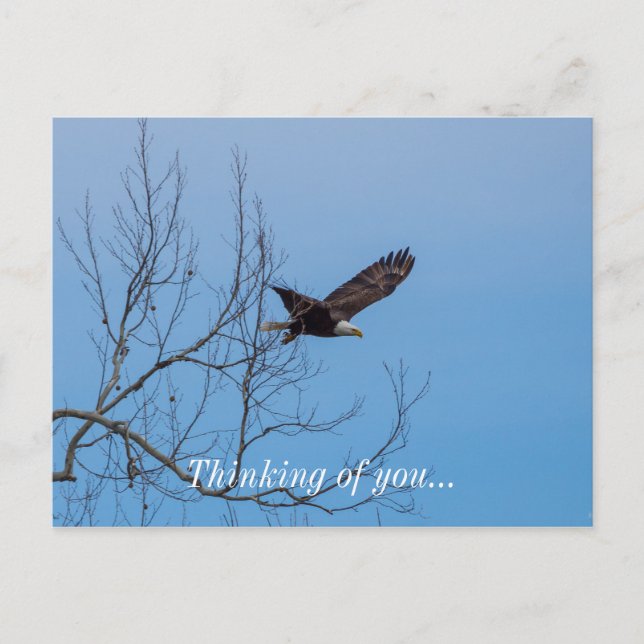 Ålder under flygning vykort (Framsida)