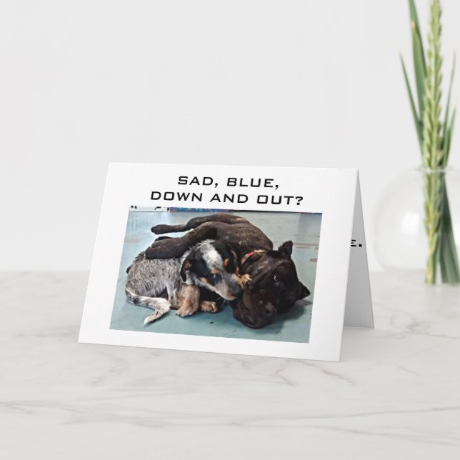 ÅLDERN ÄR EN HEMLIG MED MIG=ÖVER BACKE DOG HUMOR KORT (Framsida)