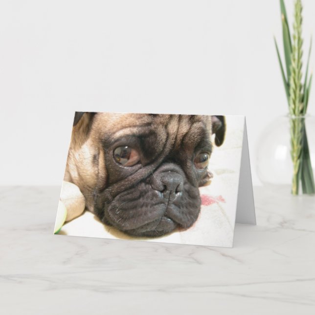 Åldern är inte Lycklig, Humor med Hund Kort (Framsida)