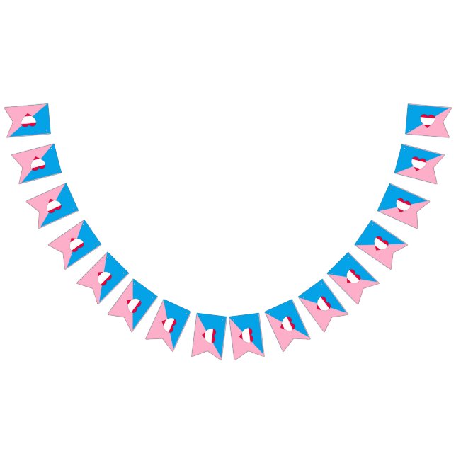 Ålderslek Pride Flagga (Alla)