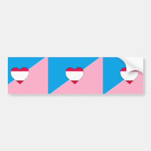 Ålderslek Pride Flagga Bildekal