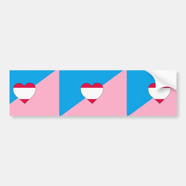 Ålderslek Pride Flagga Bildekal (Framsidan)