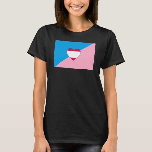 Ålderslek Pride Flagga T Shirt (Framsida)