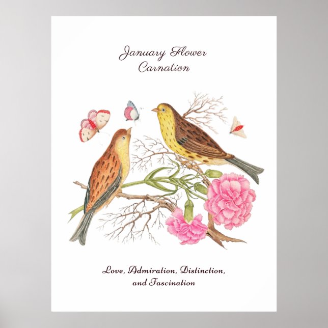 Åldersmånad Flower Birthday Gift Poster (Framsidan)