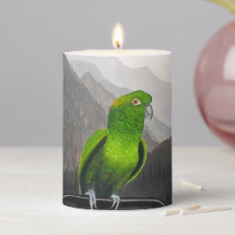 Aldo My Amazon Parrot