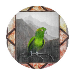 Aldo My Amazon Parrot