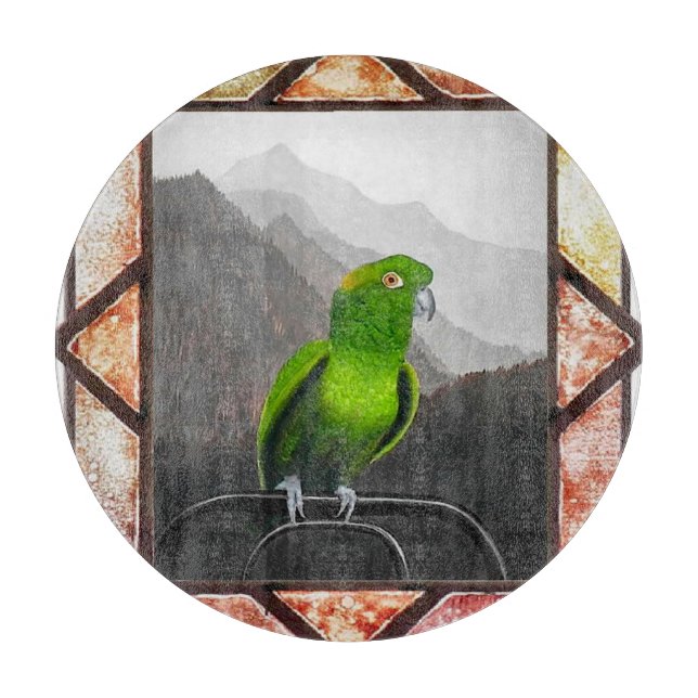 Aldo My Amazon Parrot (Framsidan)