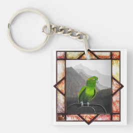 Aldo My Amazon Parrot