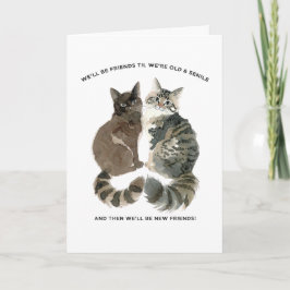 Åldrande humor för kattälskande vänner fru mamma b kort
