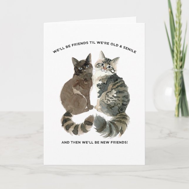 Åldrande humor för kattälskande vänner fru mamma b kort (Framsida)