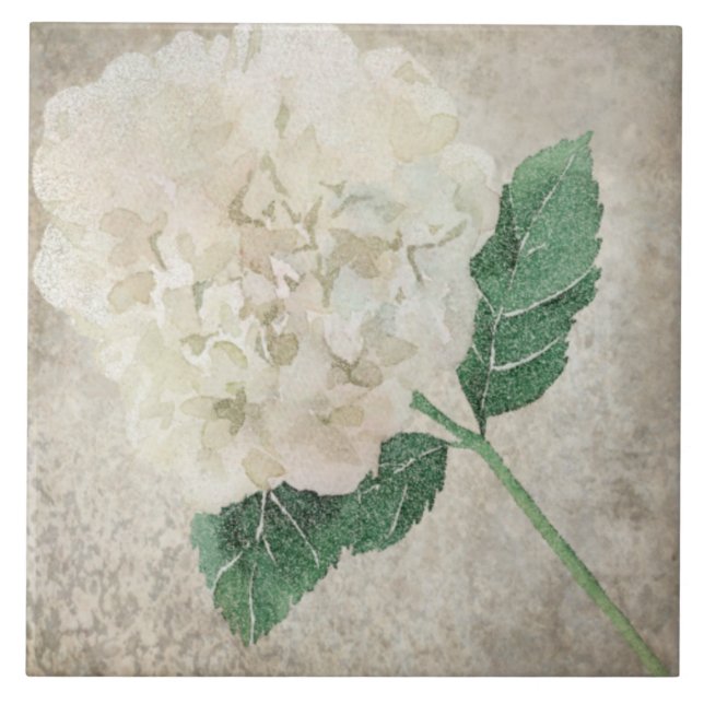 Åldras Botaniskt plattor - Aqua och Ben V2 Kakelplatta (Framsidan)