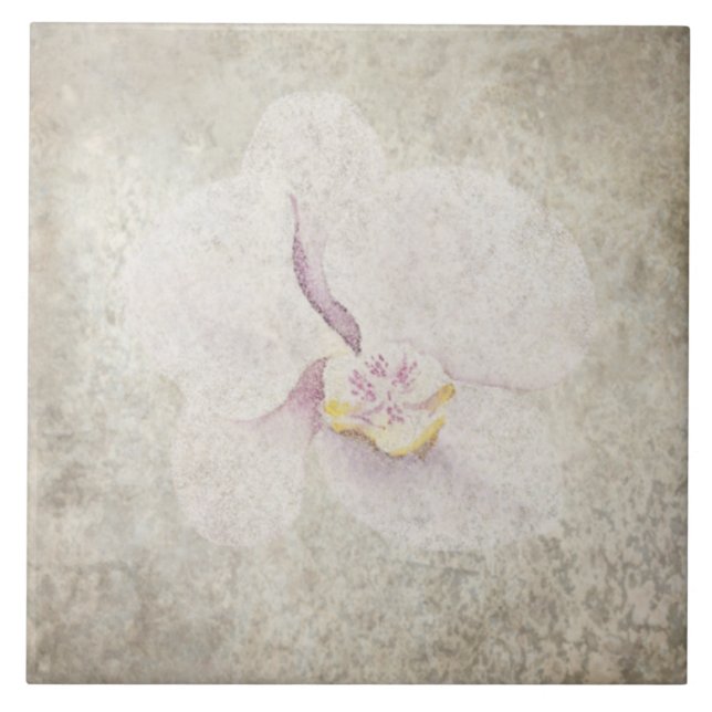 Åldras Botaniskt plattor - Aqua och Bone V5 Kakelplatta (Framsidan)