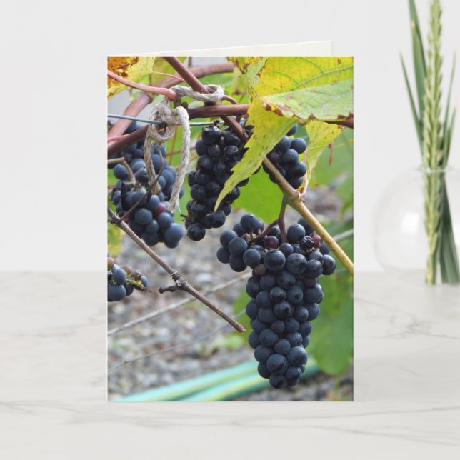 Åldras till Perfektion Kort (Framsida)