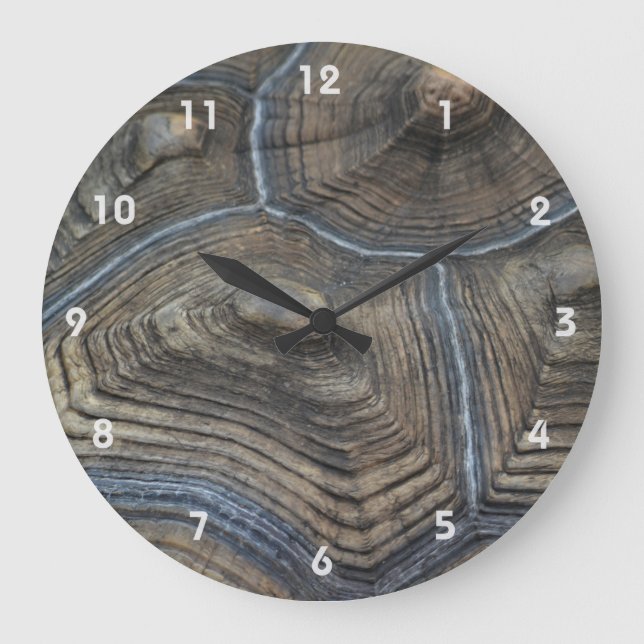 Åldras Tortoiseshell-foto Stor Klocka (Framsida)