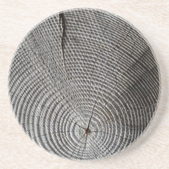 Åldras Träd Stump - Sandstone Drink Underlägg Sandsten (Framsidan)