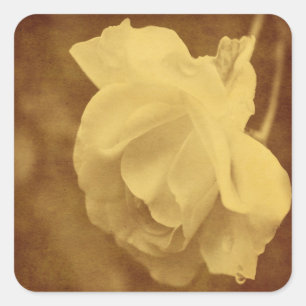 Åldras Vintage Ro Flower Fyrkantigt Klistermärke