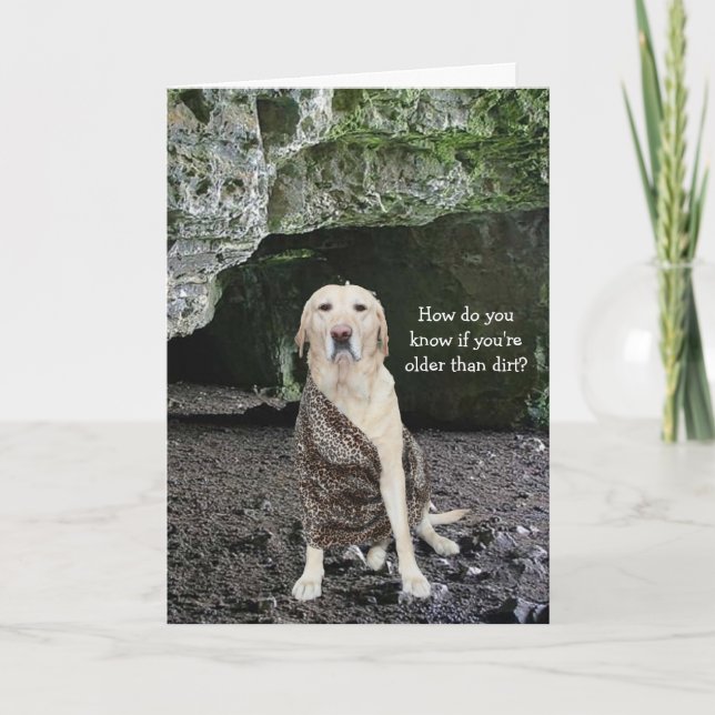 Äldre än Dirt? Kort (Framsida)