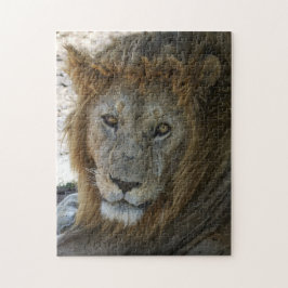 Äldre Lejon Vilda Djur Pussel