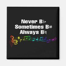 Aldrig B Platt, ibland B Vass magnet