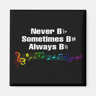 Aldrig B Platt, ibland B Vass magnet