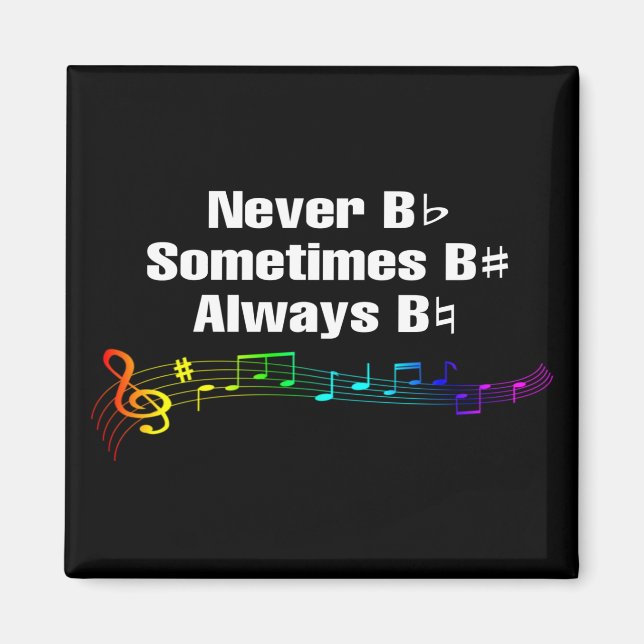 Aldrig B Platt, ibland B Vass magnet (Framsidan)