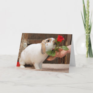 Aldrig Borttappad Card Kort