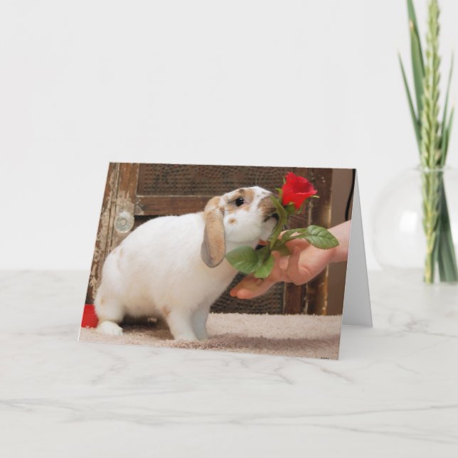 Aldrig Borttappad Card Kort (Framsida)