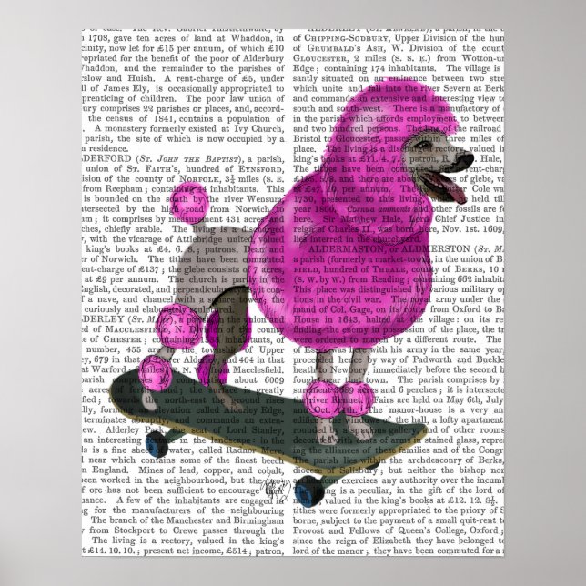 Aldrig brottas med Grisar Poster (Framsidan)