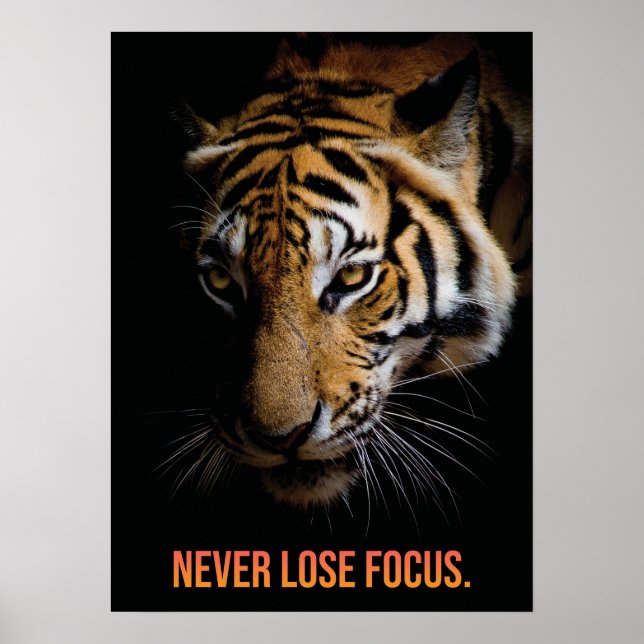 Aldrig förlora fokus - tiger, framgång, entreprenö poster (Framsidan)